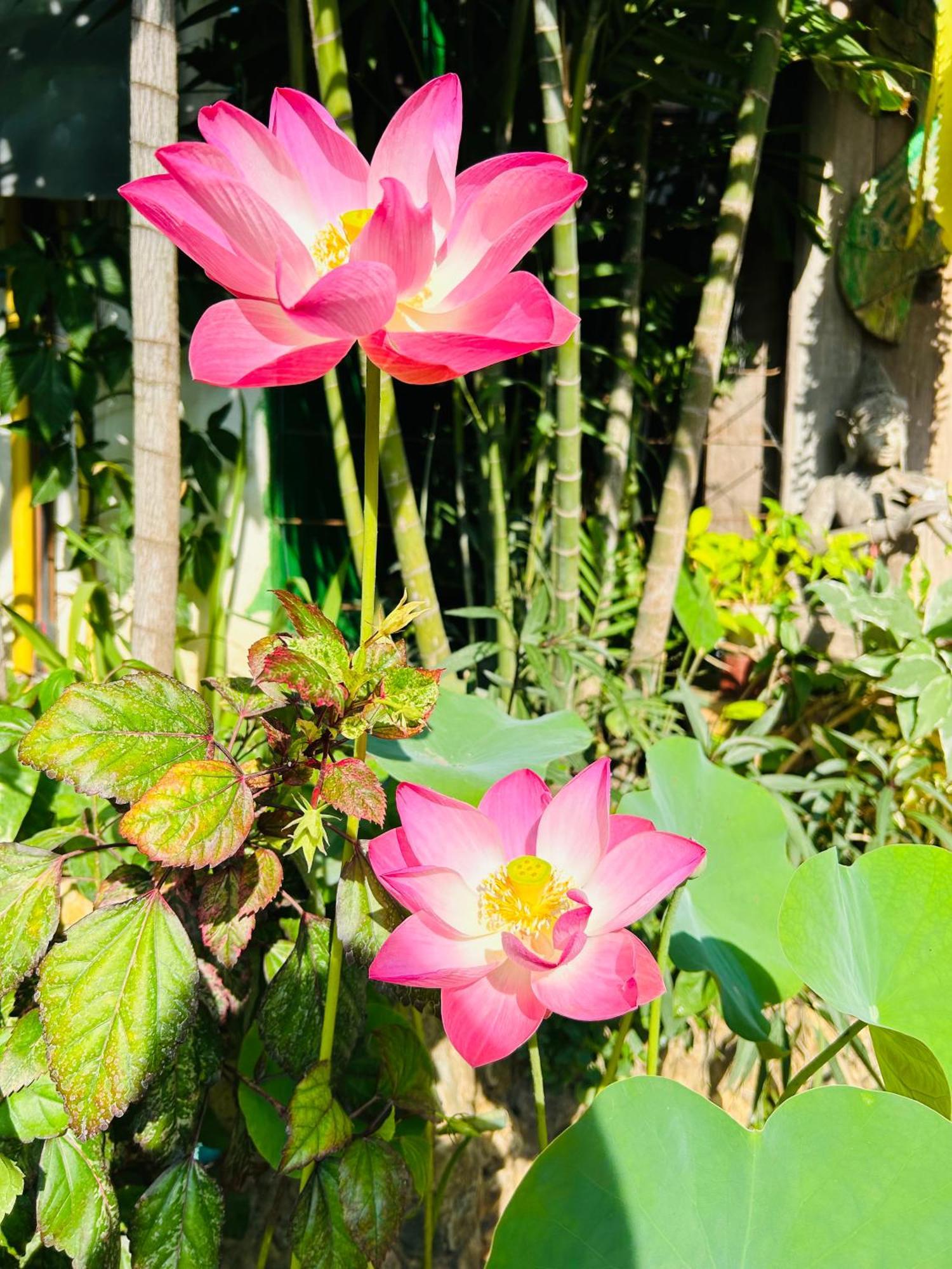 Hongkhao Village Чиангмай Екстериор снимка