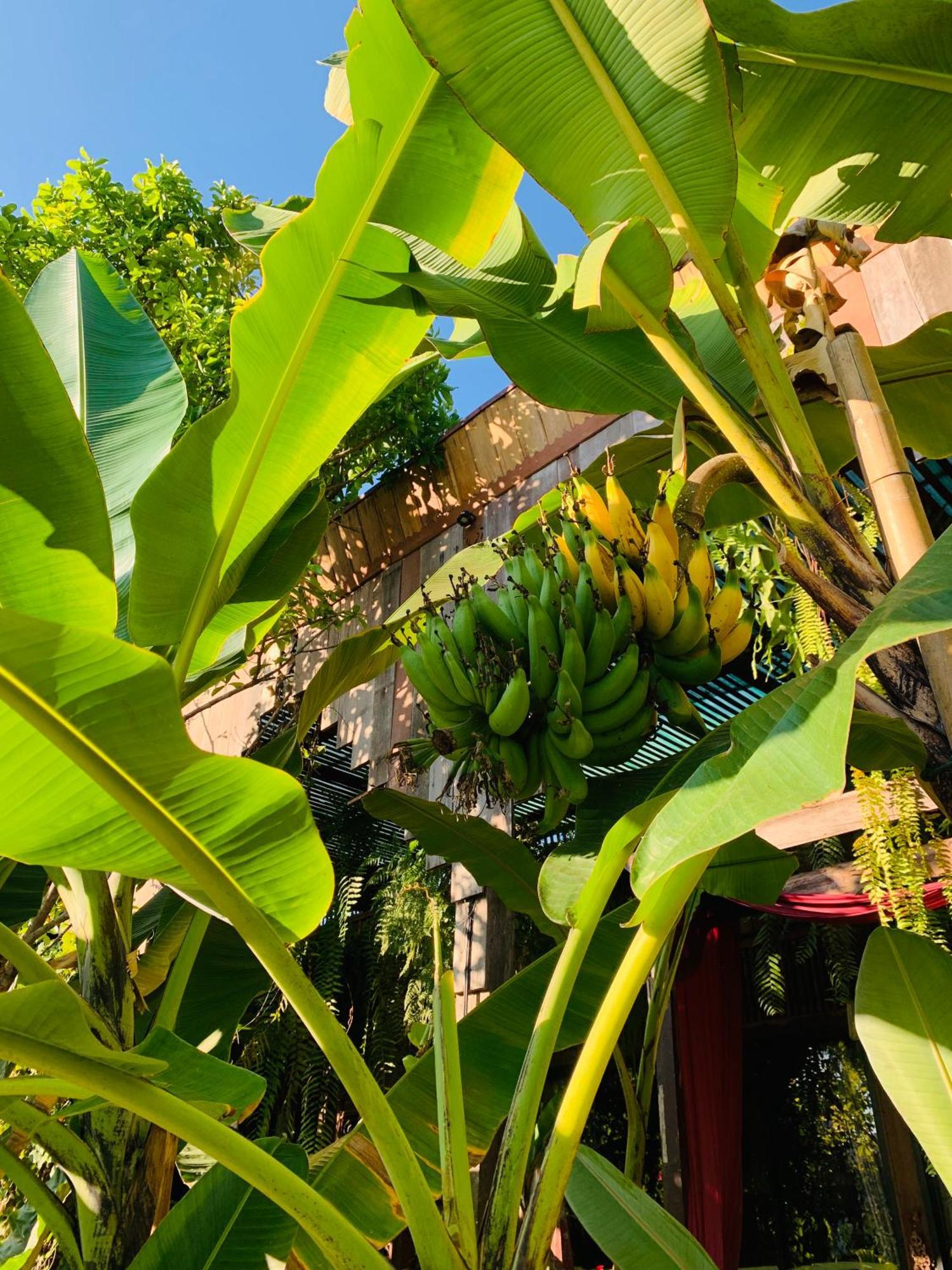Hongkhao Village Чиангмай Екстериор снимка